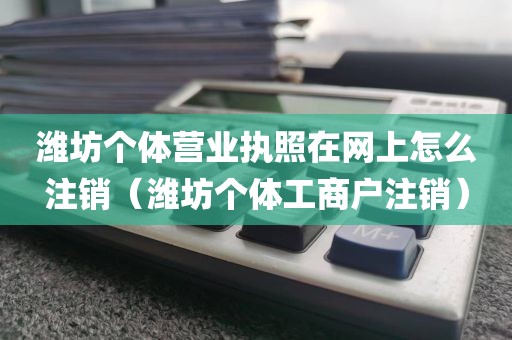 潍坊个体营业执照在网上怎么注销（潍坊个体工商户注销）