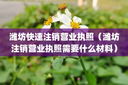 潍坊快速注销营业执照（潍坊注销营业执照需要什么材料）