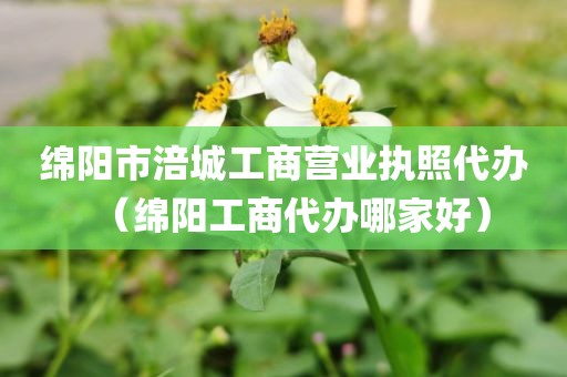绵阳市涪城工商营业执照代办（绵阳工商代办哪家好）