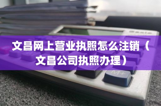 文昌网上营业执照怎么注销（文昌公司执照办理）