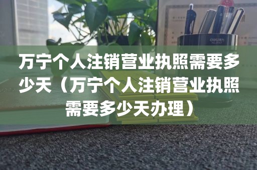 万宁个人注销营业执照需要多少天（万宁个人注销营业执照需要多少天办理）