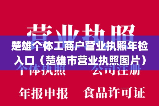 楚雄个体工商户营业执照年检入口（楚雄市营业执照图片）
