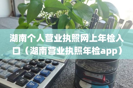湖南个人营业执照网上年检入口(湖南营业执照年检app)