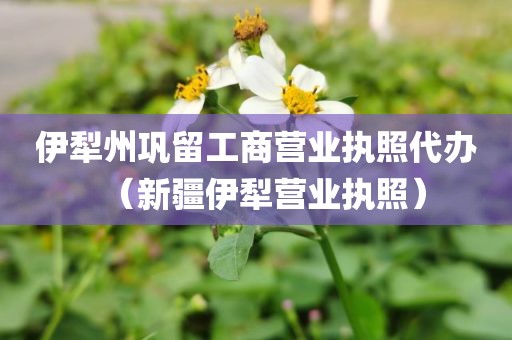 伊犁州巩留工商营业执照代办（新疆伊犁营业执照）