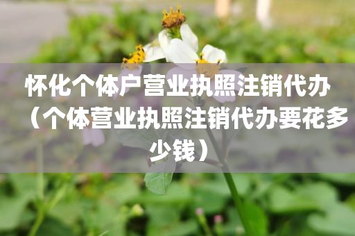 怀化个体户营业执照注销代办（个体营业执照注销代办要花多少钱）