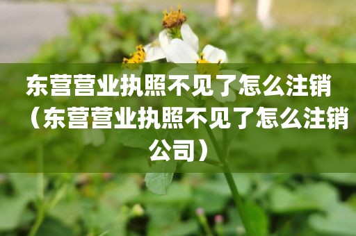 东营营业执照不见了怎么注销（东营营业执照不见了怎么注销公司）