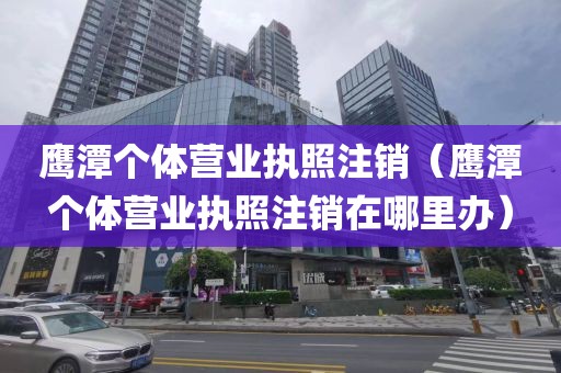 鹰潭个体营业执照注销（鹰潭个体营业执照注销在哪里办）