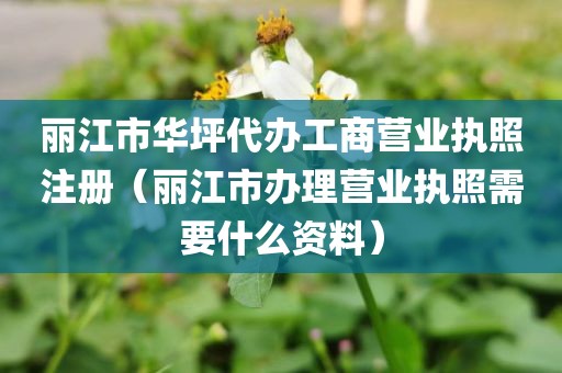 丽江市华坪代办工商营业执照注册(丽江市办理营业执照需要什么资料)