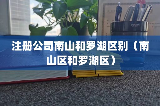 注册公司南山和罗湖区别（南山区和罗湖区）
