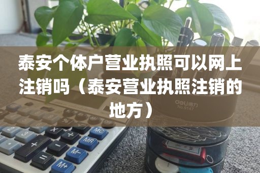 泰安个体户营业执照可以网上注销吗（泰安营业执照注销的地方）