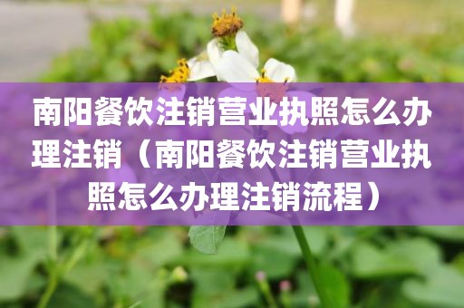 南阳餐饮注销营业执照怎么办理注销（南阳餐饮注销营业执照怎么办理注销流程）
