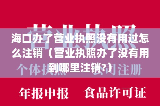 海口办了营业执照没有用过怎么注销（营业执照办了没有用到哪里注销?）