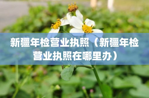 新疆年检营业执照（新疆年检营业执照在哪里办）