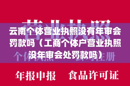 云南个体营业执照没有年审会罚款吗（工商个体户营业执照没年审会处罚款吗）