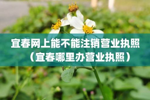 宜春网上能不能注销营业执照(宜春哪里办营业执照)