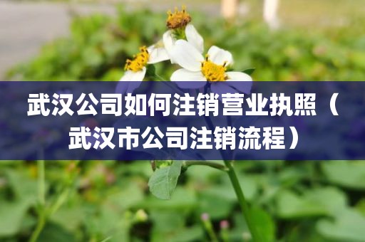 武汉公司如何注销营业执照（武汉市公司注销流程）