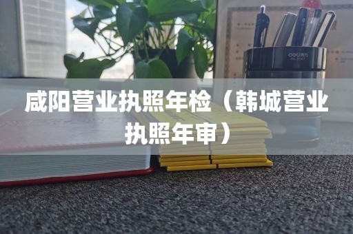 咸阳营业执照年检（韩城营业执照年审）