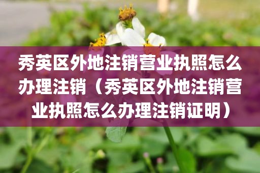 秀英区外地注销营业执照怎么办理注销（秀英区外地注销营业执照怎么办理注销证明）