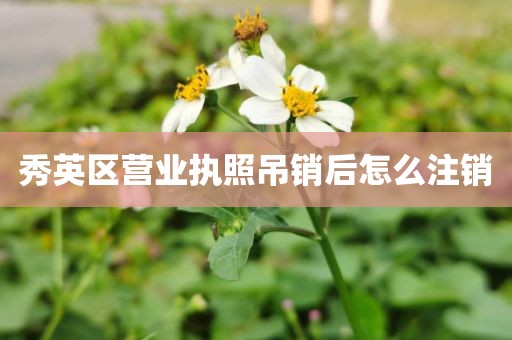 秀英区营业执照吊销后怎么注销