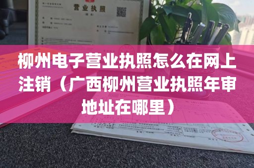 柳州电子营业执照怎么在网上注销（广西柳州营业执照年审地址在哪里）