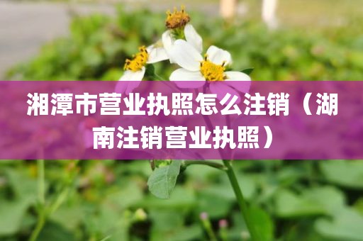 湘潭市营业执照怎么注销（湖南注销营业执照）