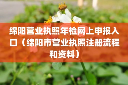绵阳营业执照年检网上申报入口（绵阳市营业执照注册流程和资料）