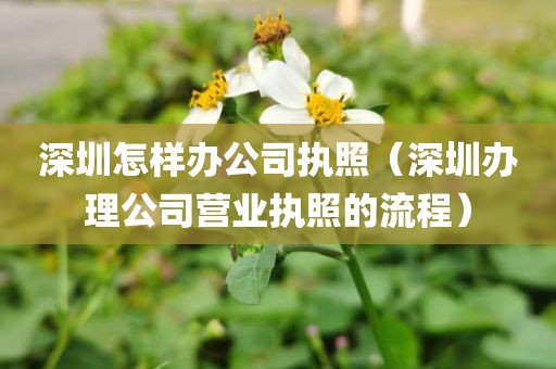 深圳怎样办公司执照（深圳办理公司营业执照的流程）