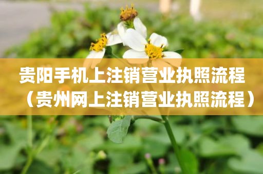 贵阳手机上注销营业执照流程（贵州网上注销营业执照流程）