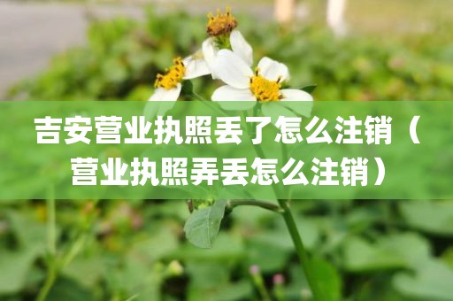 吉安营业执照丢了怎么注销（营业执照弄丢怎么注销）