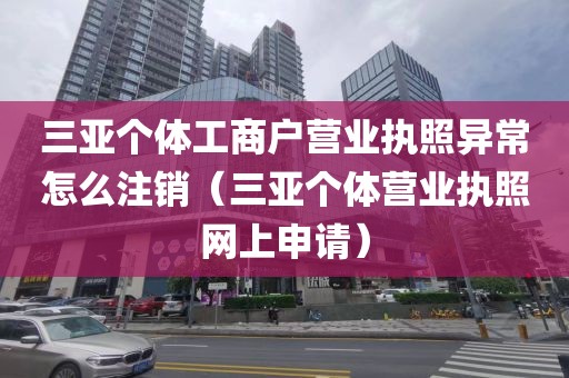 三亚个体工商户营业执照异常怎么注销（三亚个体营业执照网上申请）