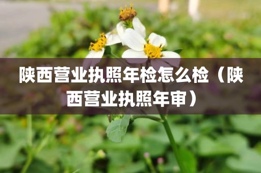 陕西营业执照年检怎么检（陕西营业执照年审）