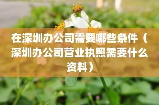 在深圳办公司需要哪些条件（深圳办公司营业执照需要什么资料）