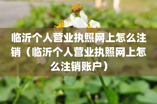 临沂个人营业执照网上怎么注销（临沂个人营业执照网上怎么注销账户）