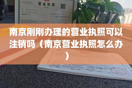 南京刚刚办理的营业执照可以注销吗（南京营业执照怎么办）