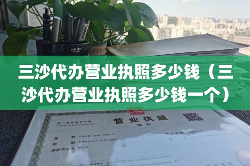 三沙代办营业执照多少钱（三沙代办营业执照多少钱一个）