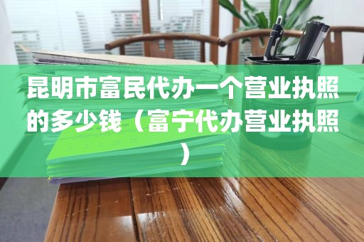 昆明市富民代办一个营业执照的多少钱（富宁代办营业执照）