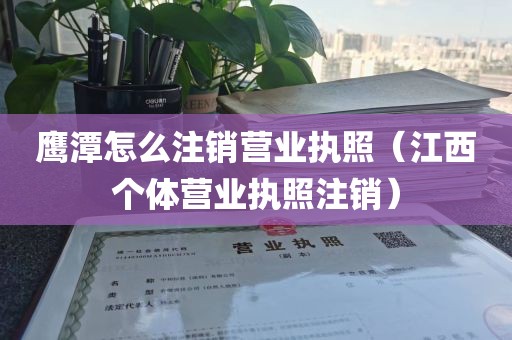 鹰潭怎么注销营业执照（江西个体营业执照注销）