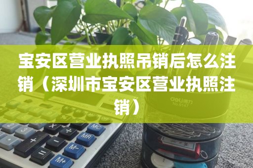 宝安区营业执照吊销后怎么注销(深圳市宝安区营业执照注销)