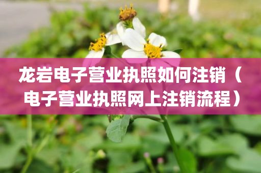 龙岩电子营业执照如何注销（电子营业执照网上注销流程）