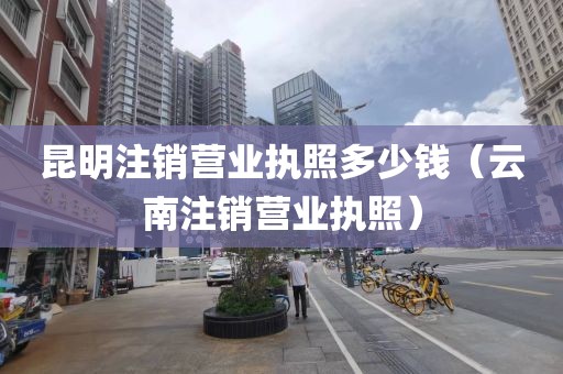 昆明注销营业执照多少钱（云南注销营业执照）