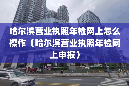 哈尔滨营业执照年检网上怎么操作（哈尔滨营业执照年检网上申报）