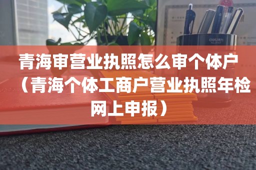 青海审营业执照怎么审个体户（青海个体工商户营业执照年检网上申报）