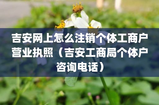 吉安网上怎么注销个体工商户营业执照（吉安工商局个体户咨询电话）