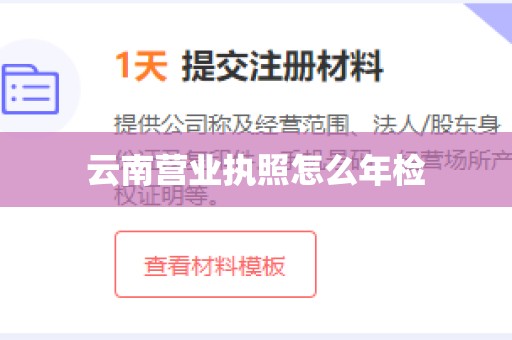 云南营业执照怎么年检