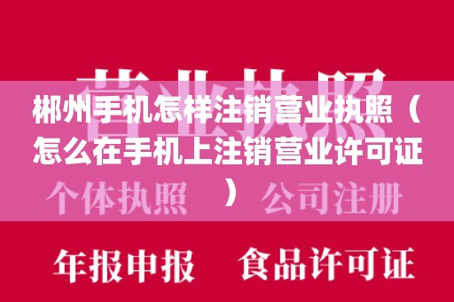 郴州手机怎样注销营业执照（怎么在手机上注销营业许可证）
