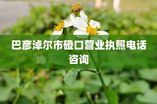 巴彦淖尔市磴口营业执照电话咨询