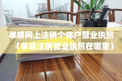 孝感网上注销个体户营业执照（孝感注销营业执照在哪里）