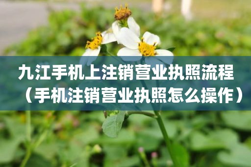 九江手机上注销营业执照流程（手机注销营业执照怎么操作）