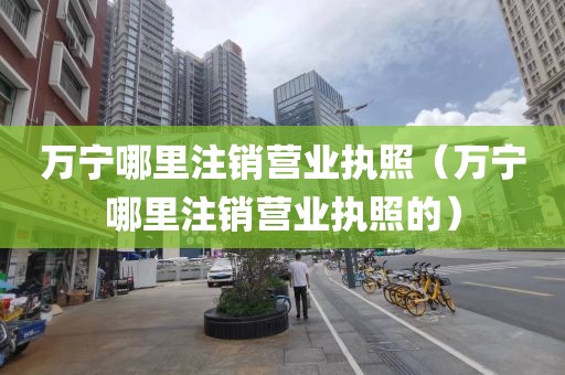 万宁哪里注销营业执照（万宁哪里注销营业执照的）