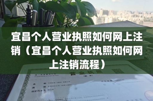 宜昌个人营业执照如何网上注销(宜昌个人营业执照如何网上注销流程)